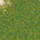 116/61